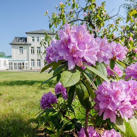 Hotel Siegmar Im Geschaftshaus Кемниц Екстериор снимка